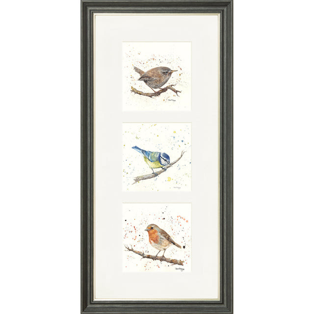 Feathered Friends