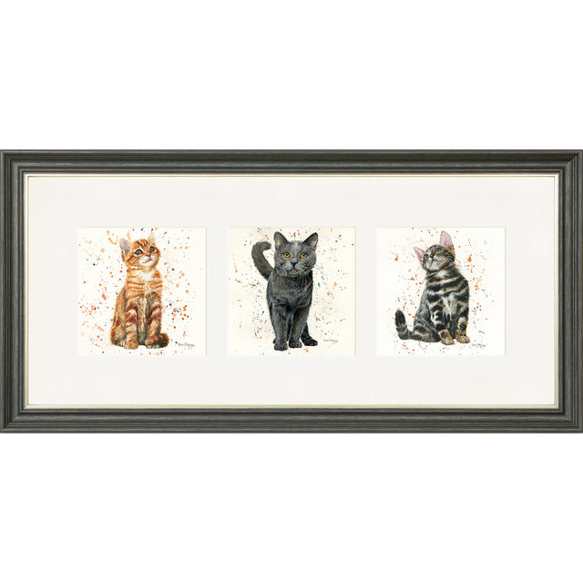 Feline Friends