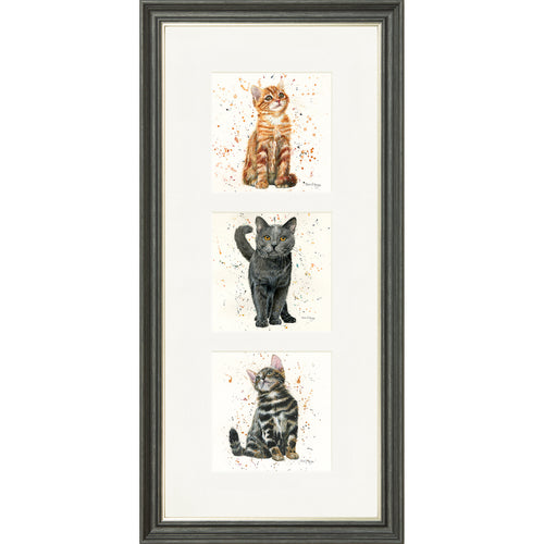 Feline Friends