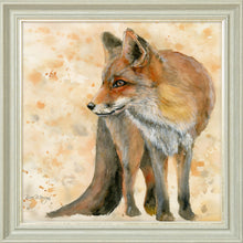 Load image into Gallery viewer, Fletcher
