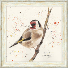 Load image into Gallery viewer, Gordon
