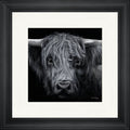 Hamish