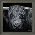 Hamish
