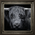 Hamish
