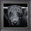 Hamish