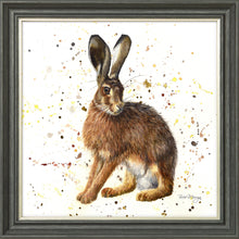 Load image into Gallery viewer, Hardy
