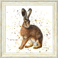 Load image into Gallery viewer, Hardy
