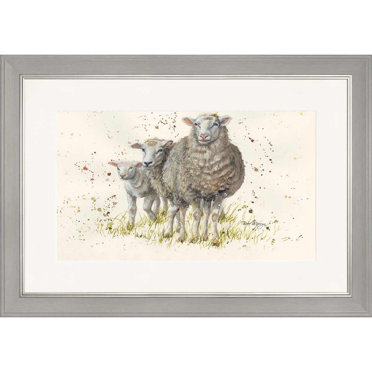 I Can See Ewe