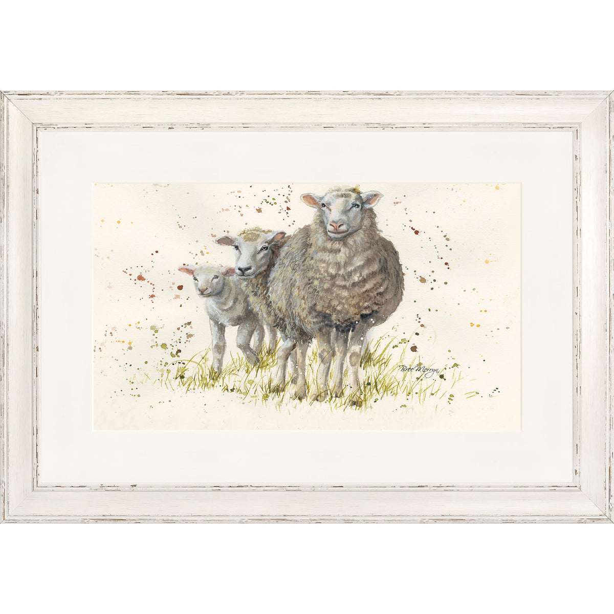 I Can See Ewe