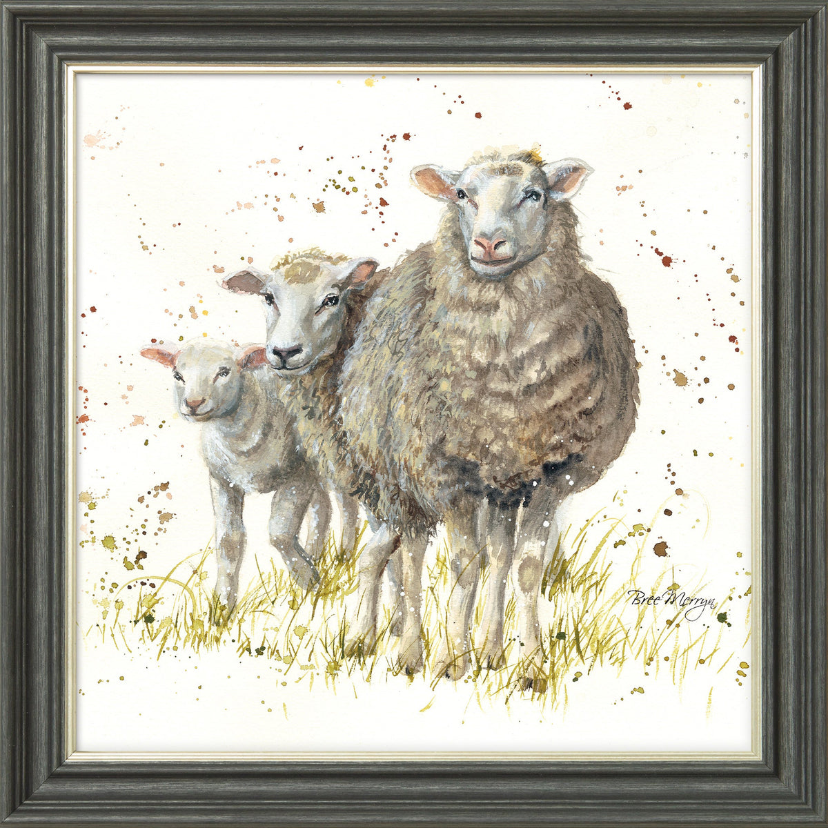 I Can See Ewe