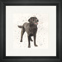 Load image into Gallery viewer, Licorice
