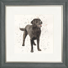 Load image into Gallery viewer, Licorice
