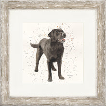 Load image into Gallery viewer, Licorice
