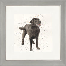 Load image into Gallery viewer, Licorice
