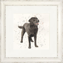Load image into Gallery viewer, Licorice
