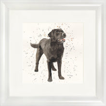 Load image into Gallery viewer, Licorice
