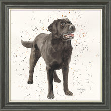 Load image into Gallery viewer, Licorice
