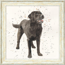 Load image into Gallery viewer, Licorice
