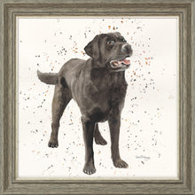 Load image into Gallery viewer, Licorice
