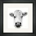 Lily B&W - highland cow framed print by Bree Merryn