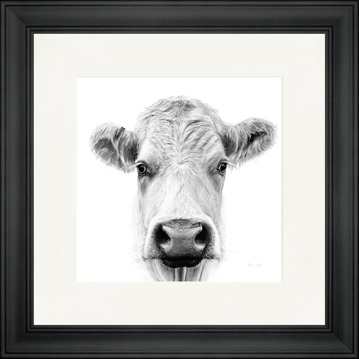 Lily B&W - highland cow framed print by Bree Merryn