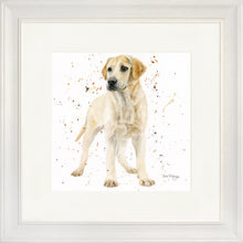 Load image into Gallery viewer, Lola
