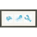 Marine Medley Blue