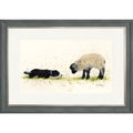Nice to Meet Ewe