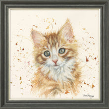 Load image into Gallery viewer, Nutmeg
