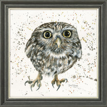 Load image into Gallery viewer, Oakley
