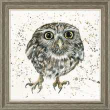 Load image into Gallery viewer, Oakley
