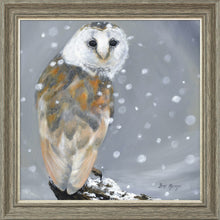 Load image into Gallery viewer, Ogilvie
