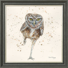 Load image into Gallery viewer, Oliver
