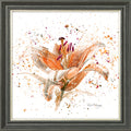 Orange Lily