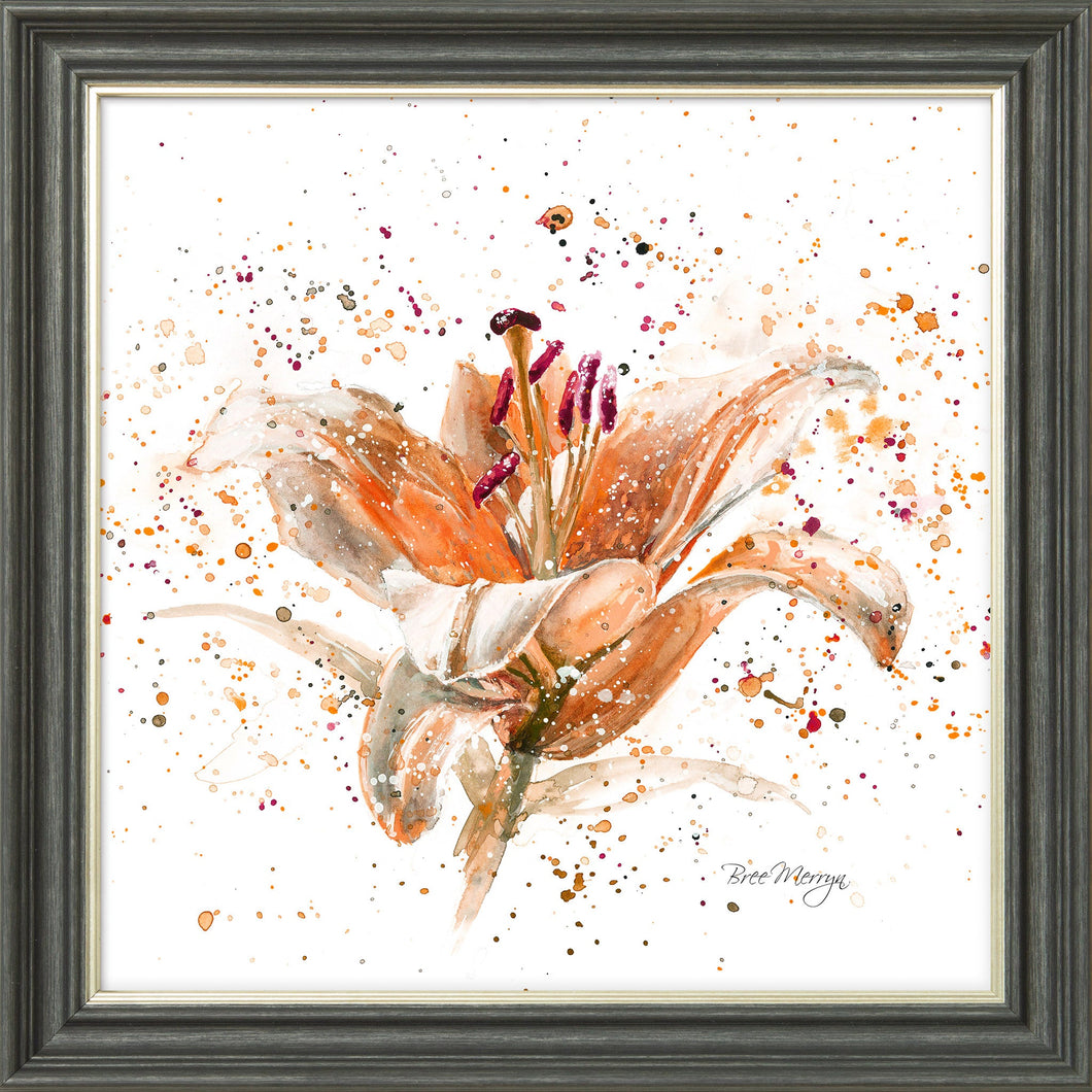 Orange Lily