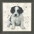 Patch