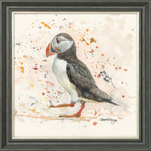 Load image into Gallery viewer, Petula
