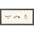 Puffin Parade - puffin triptych framed print by Bree Merryn