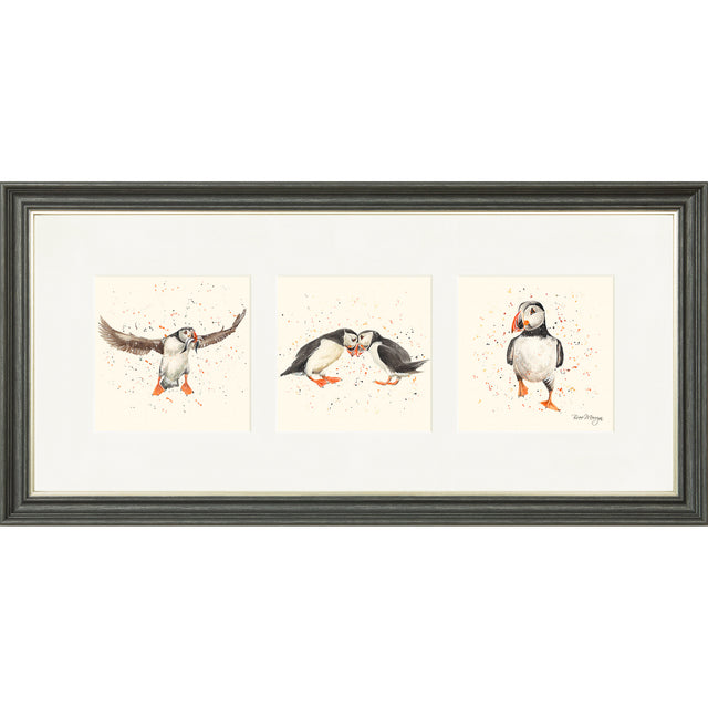 Puffin Parade