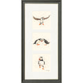 Puffin Parade triptych framed print by Bree Merryn, view 2