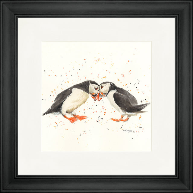 Puffin Passion