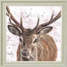 Load image into Gallery viewer, Sargent
