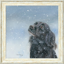 Load image into Gallery viewer, Sasha
