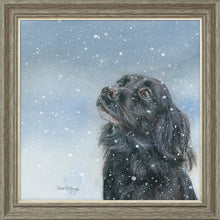 Load image into Gallery viewer, Sasha
