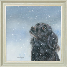 Load image into Gallery viewer, Sasha
