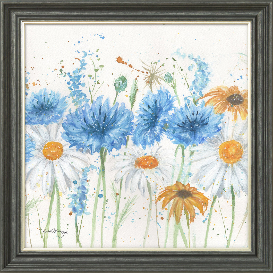 Scabious and Daisies