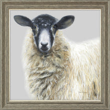 Load image into Gallery viewer, Shelley
