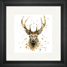 Load image into Gallery viewer, Silas
