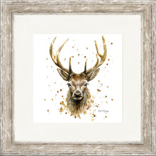 Load image into Gallery viewer, Silas
