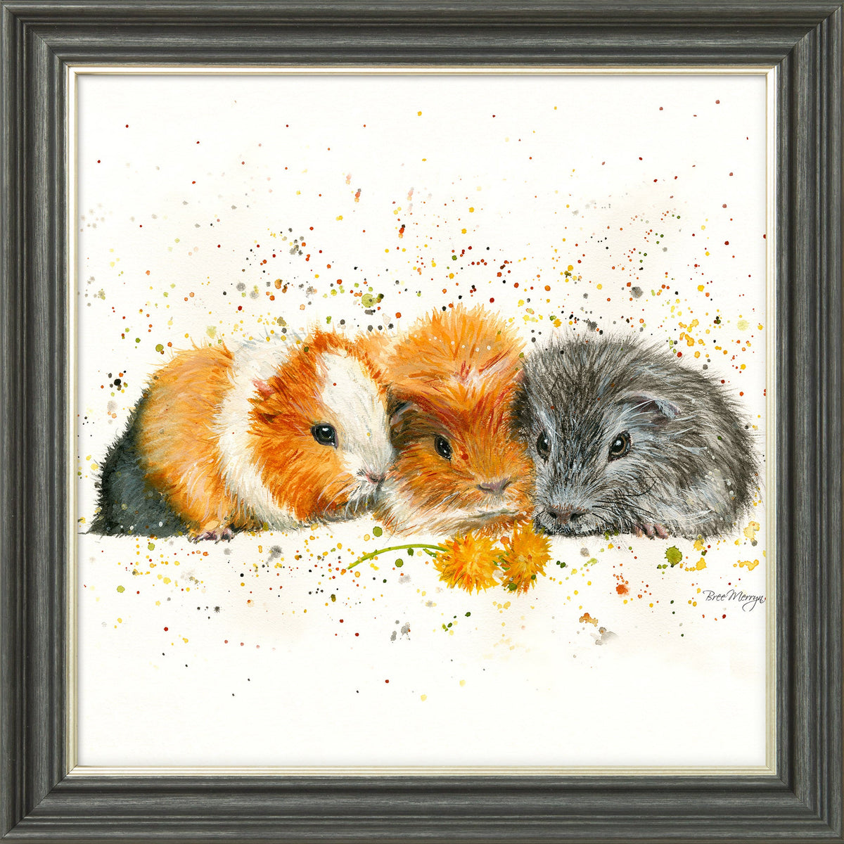 Snap, Crackle and Pop